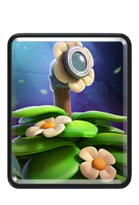 ステルスブッシュ